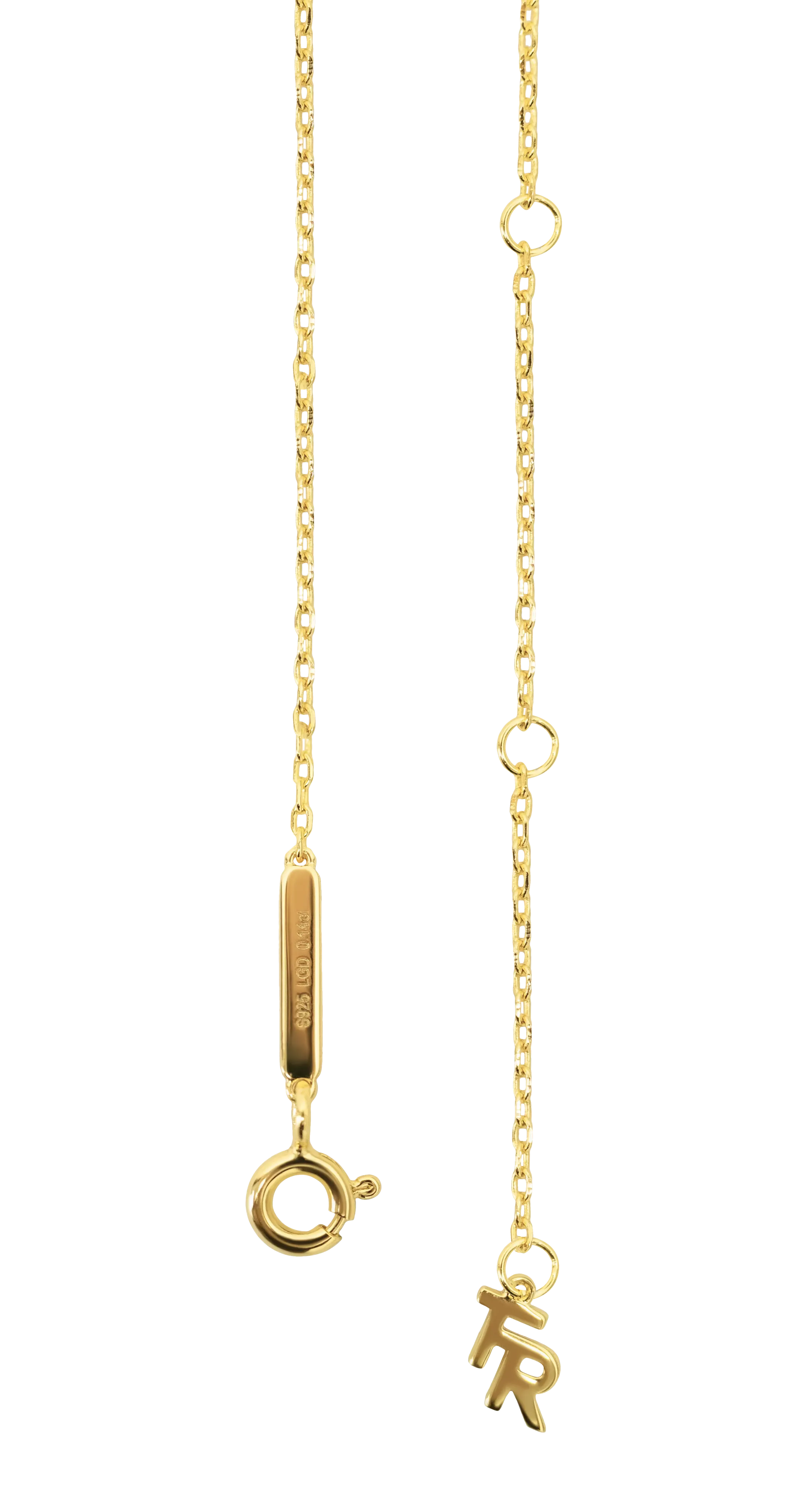 Aries medallion pendant necklace